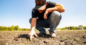 OCP Plans $450 Million U.S. Fertiliser Plant
